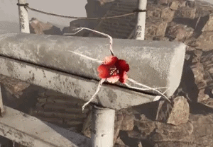 IvyGrowthVFXNiagara-UnrealEngine5-2160p60-ezgif.com-video-to-gif-converter